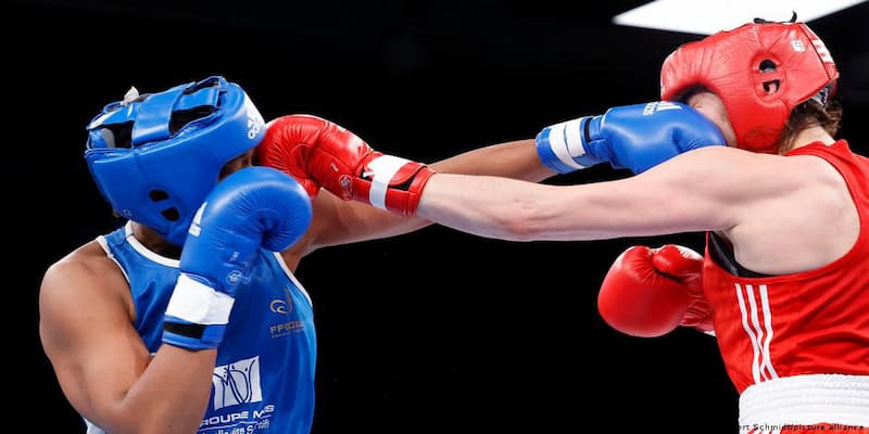 cá cược boxing Lý do chọn cá cược boxing tại EE88